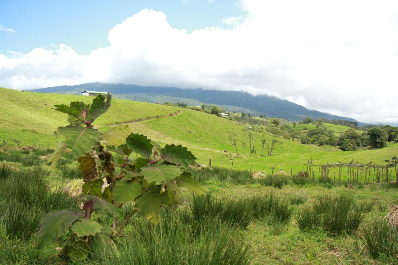 Casa Volcano Panoramic View Vara Blanca  Esterno foto